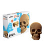 Cartonic 3D Karton Puzzle // Skull