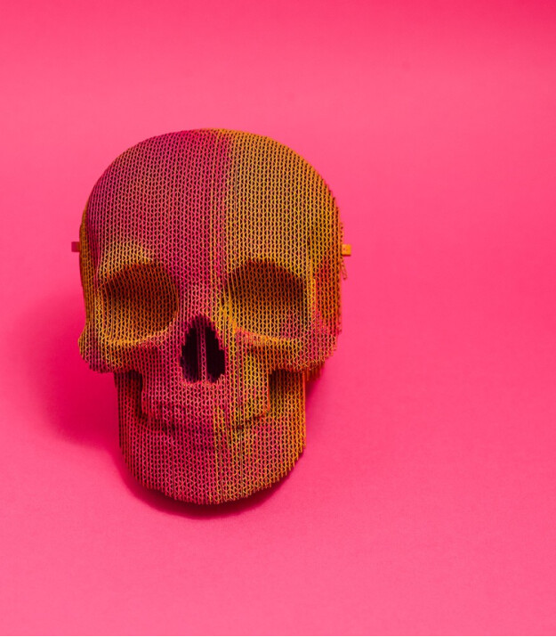 Cartonic 3D Karton Puzzle // Skull