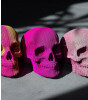 Cartonic 3D Karton Puzzle // Skull