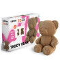 Cartonic 3D Karton Puzzle // Teddy Bear