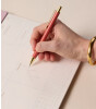 Designworks Ink Kalem Set (2 Adet) // Rosewood & Blush