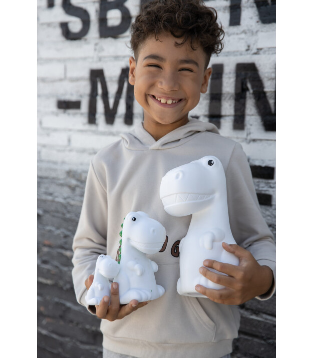 Dhink Mini Gece Lambası // Baby Dino