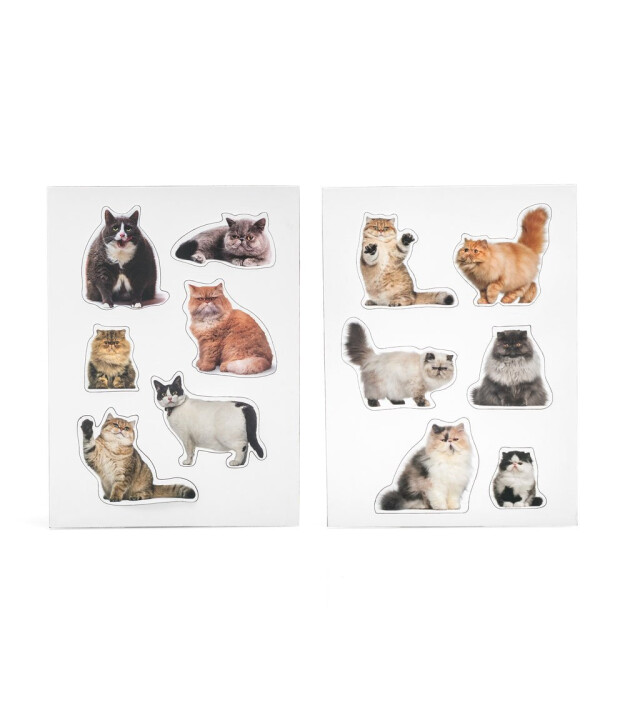 Mustard Magnet Set // Şişman Kediler