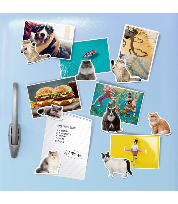 Mustard Magnet Set // Şişman Kediler