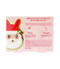 Inuwet Bath Bomb Set // Santa Pere Noel