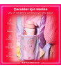 Ion8 OneTouch Paslanmaz &Ccedil;elik Suluk (600 ml) // G&ouml;kkuşağı
