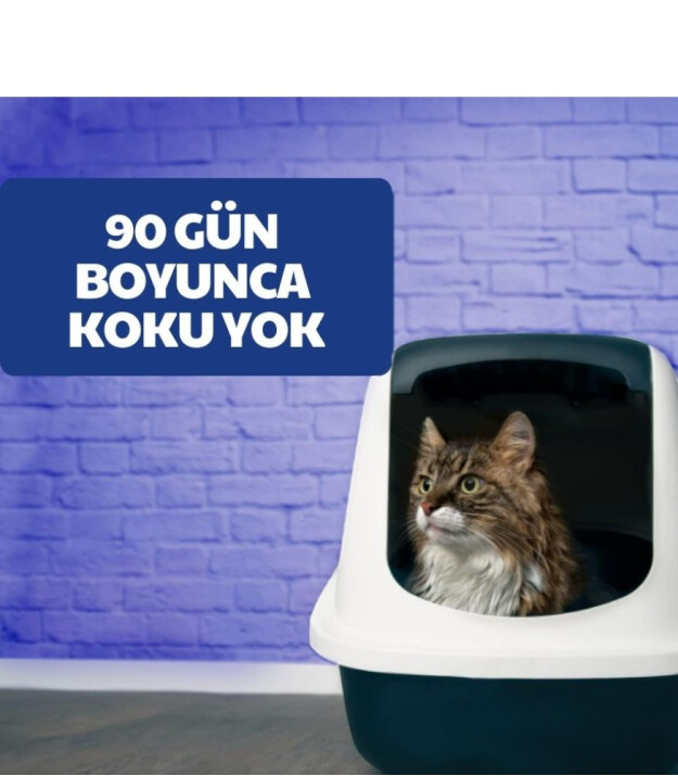 Katfresh Kedi Kumu Kokusu Giderici Filtre (3 Adet)