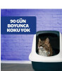 Katfresh Kedi Kumu Kokusu Giderici Filtre (3 Adet)