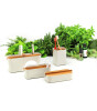 Lexon Zen Pamuk Kutusu // Bamboo - White