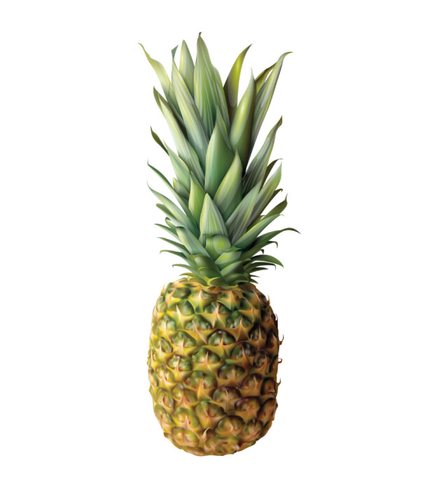 Little Crunchies Freeze Dried Atıştırmalık // Ananas