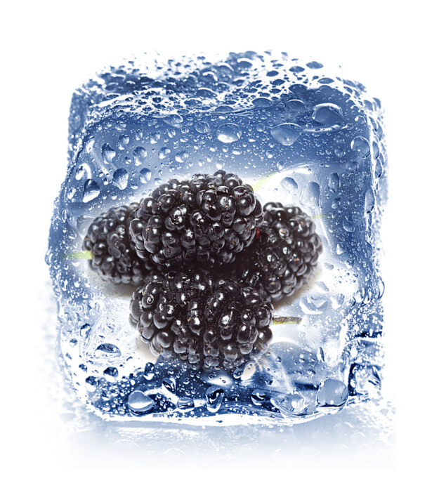 Little Crunchies Freeze Dried Atıştırmalık // Böğürtlen