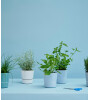 Mepal Waste Bin Calypso // Nordic Blue