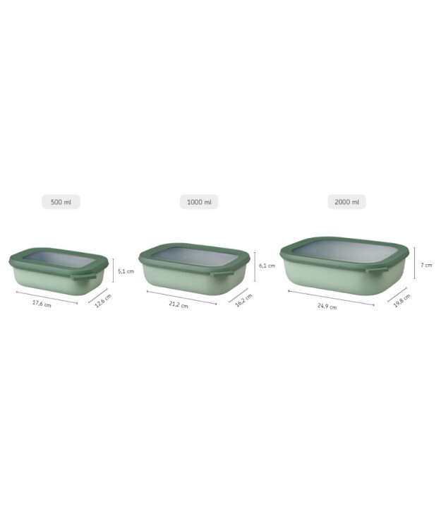Mepal Cirqula Rectangular Multi Bowl (1000 ml) // Vivid Mauve