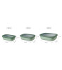 Mepal Cirqula Rectangular Multi Bowl (1000 ml) // Vivid Mauve