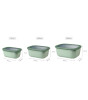 Mepal Cirqula Rectangular Multi Bowl (1500 ml) // Vivid Green