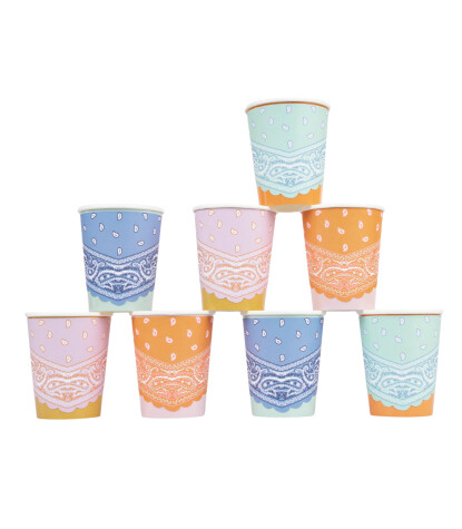 Meri Meri Parti Bardak // Kovboy