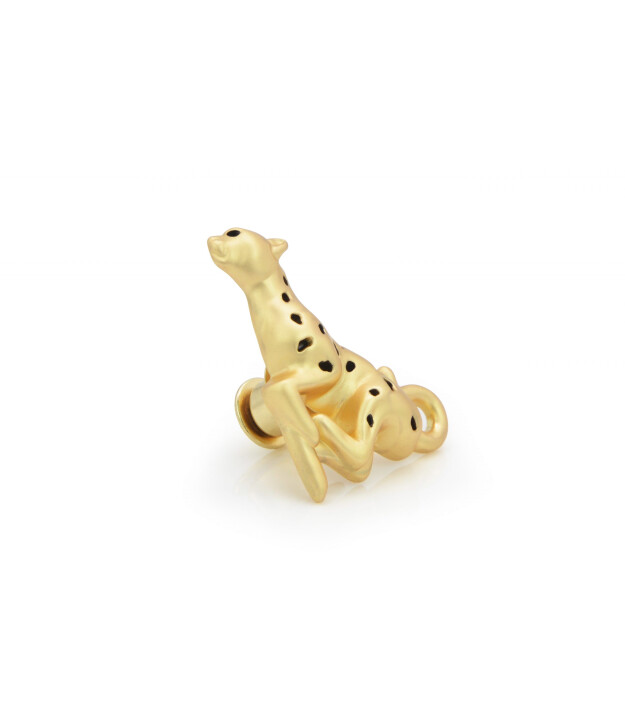 Metalmorphose Pin Seti // Leopar-Tropikal