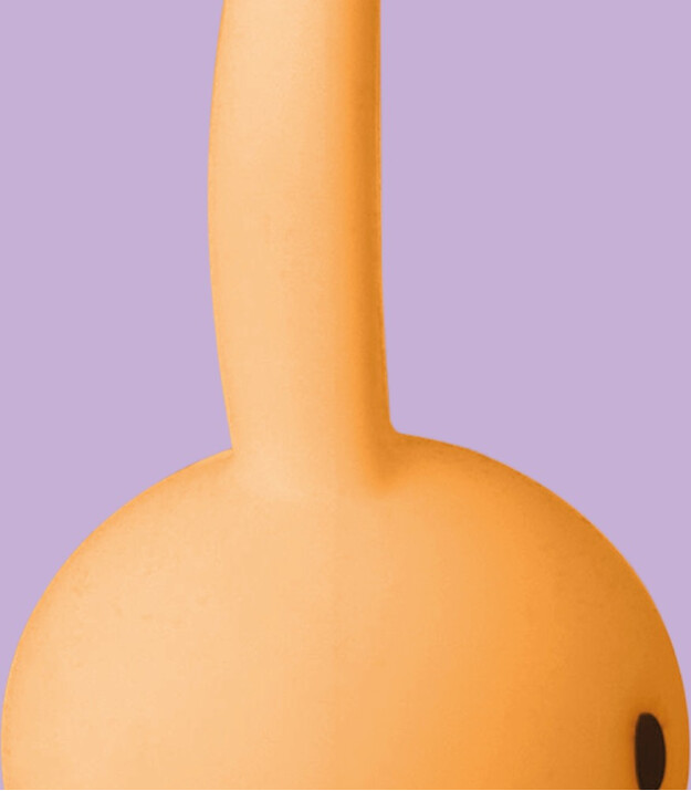 Mr. Maria Miffy Mini Lamba - Blind Box S&uuml;rpriz Renkli