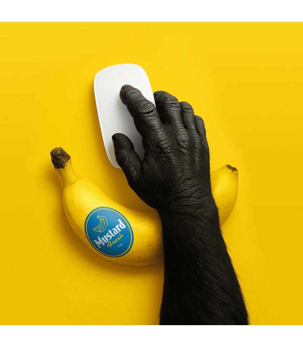 Mustard Banana Mouse Bilek Desteği