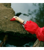 Original Duckhead Duck Kompakt Şemsiye // Red