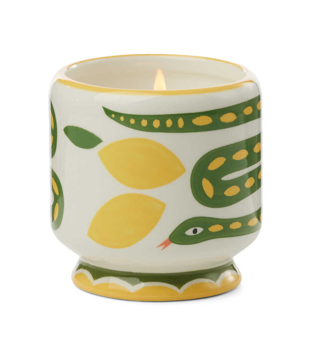 Paddywax Adopo Seramik Kutulu Mum (Yılan) // Wild Lemongrass