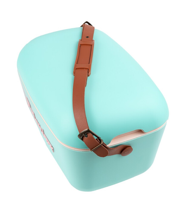 Polarbox Cooler Soğutucu &Ccedil;anta Classic (12L) // Verde Agua - Rosa Baby