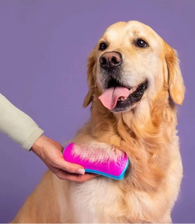 Tangle Teezer Detangling Köpek Bakım Fırçası // Pink Yellow