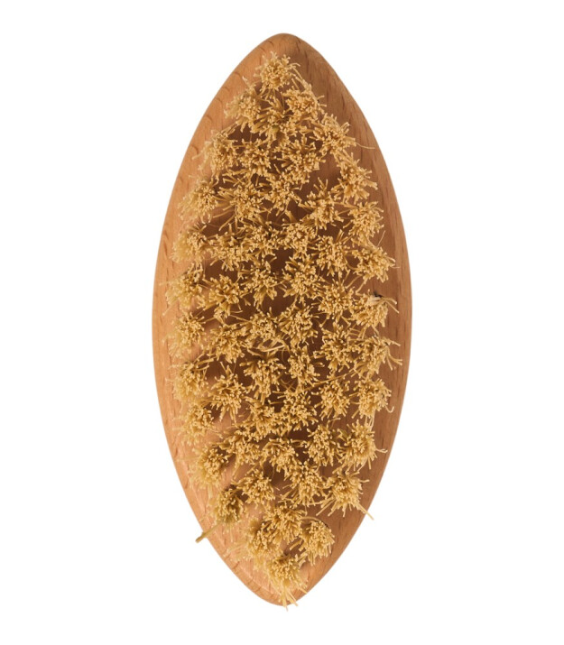 Vose Doğal At Kılı Fırça Set // Yüz Fırçası - Tırnak Fırçası - Selülit Fırçası (Vanilla)