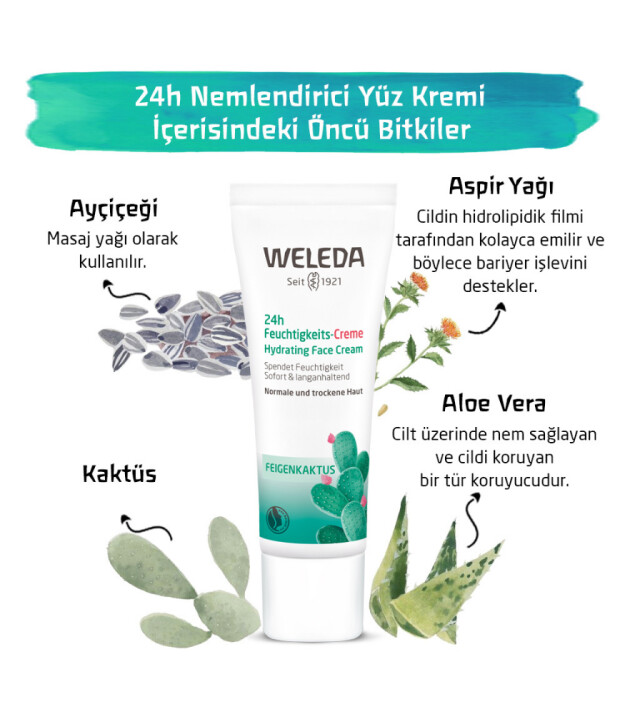 Weleda Cactus 24h Nemlendirici Yüz Kremi