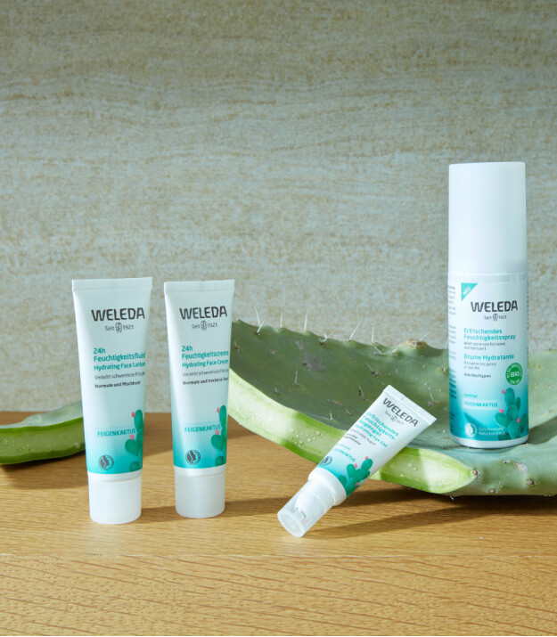 Weleda Cactus 24h Nemlendirici Yüz Losyonu