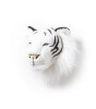 Wild & Soft Duvar Aksesuarı Kaplan 'Albert'